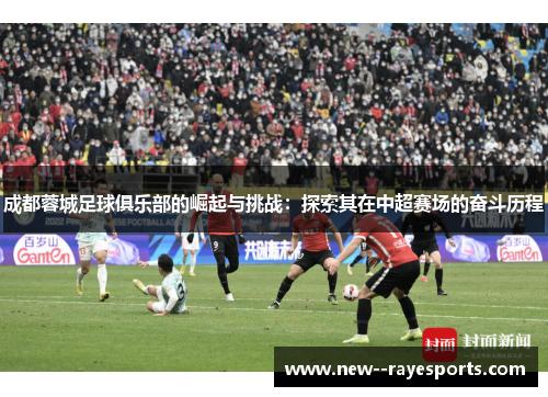成都蓉城足球俱乐部的崛起与挑战：探索其在中超赛场的奋斗历程